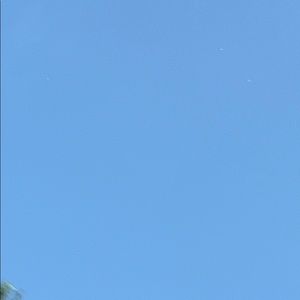 Meet your Posher, Brayden